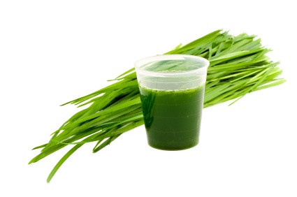 Barley Grass Health Benefits